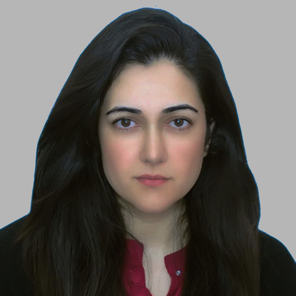 Ms. Fizza Kazmi (Lecturer)